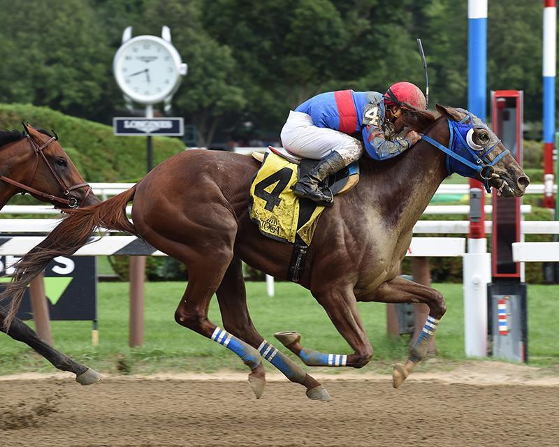 BetThoroughbred's tweet photo. Top Kentucky Derby Contenders from BetThoroughbreds https://t.co/cI2GRvzLpm https://t.co/v7qJ3jIGYE