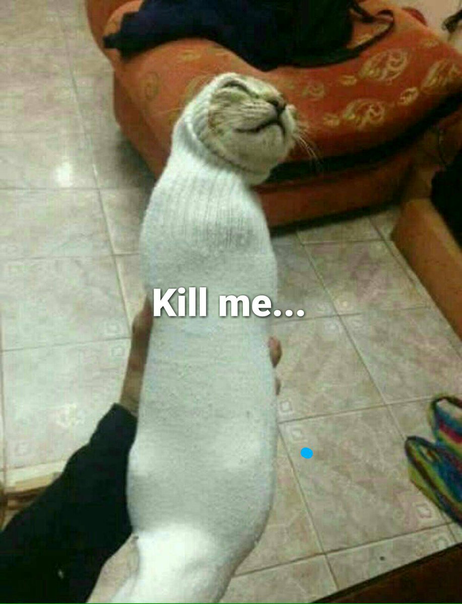 RealBigBadWolf's tweet photo. Me in one photo... #lost #cat #youtube #catinasock #sleepy #timetoclean #suicide https://t.co/bozMIZxF0O
