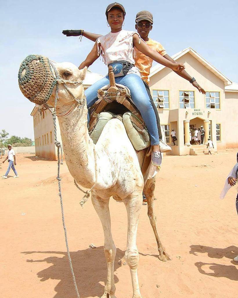 _NYSC's tweet photo. @Regrann from @corpernaija - To all kebbi corpers; you are advised to buy a camel for ease… https://t.co/Uiyk70EHCZ https://t.co/lCVM40weJ4
