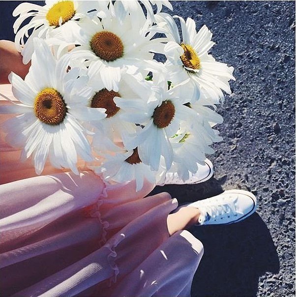 anicicavama's tweet photo. Hello spring!
How are you? https://t.co/lP39HgsuSD