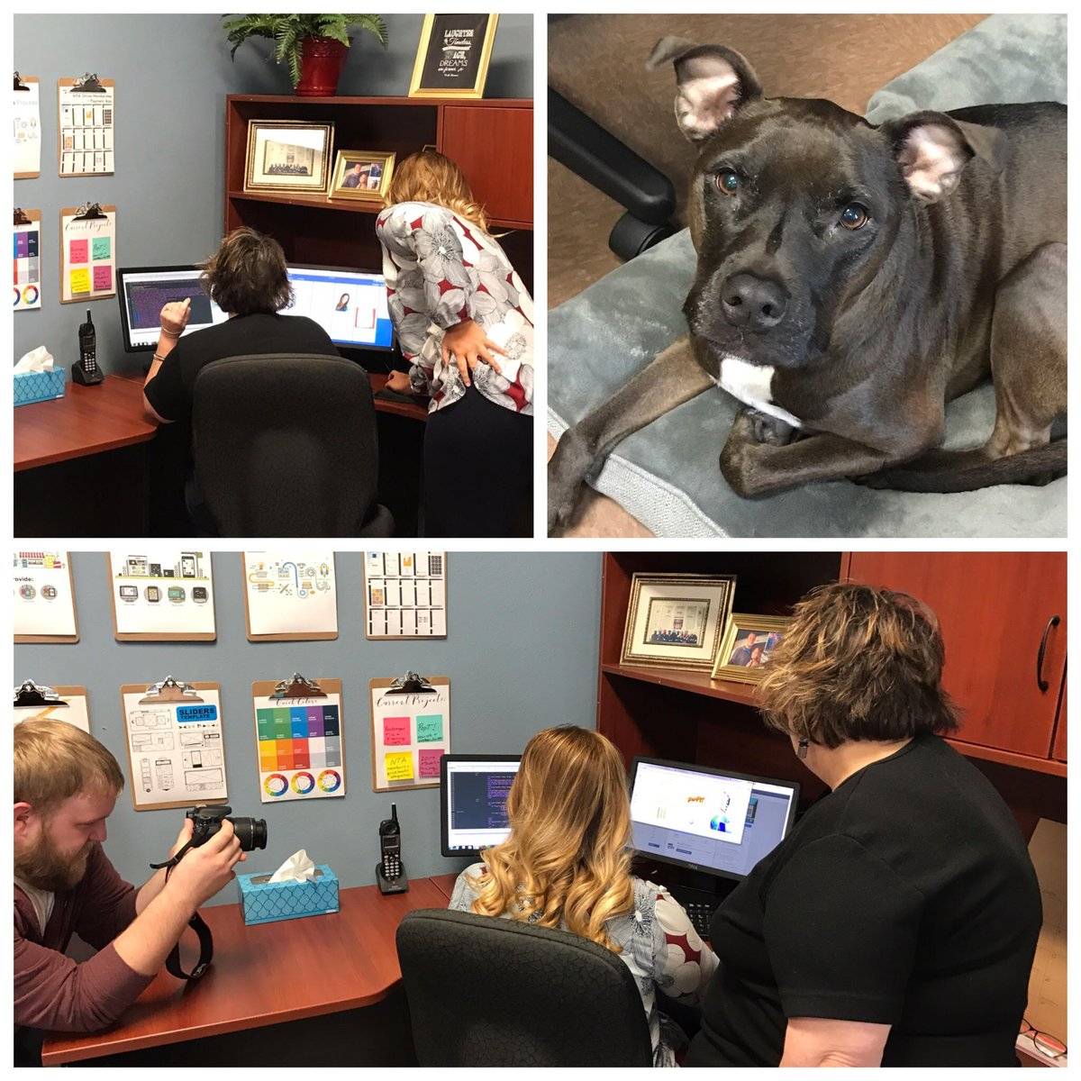 techknowsol's tweet photo. Thank you Dawn &amp; the Troy Chamber for coming in this morning. I think you got more blooper reel clips than anything  Oops!  -- Michell https://t.co/6Z0i3INlQl