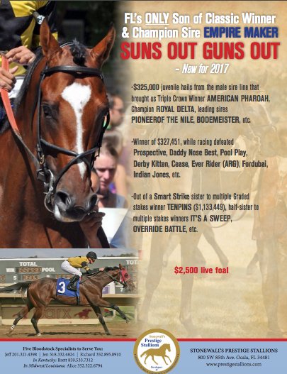 TDN tweet media