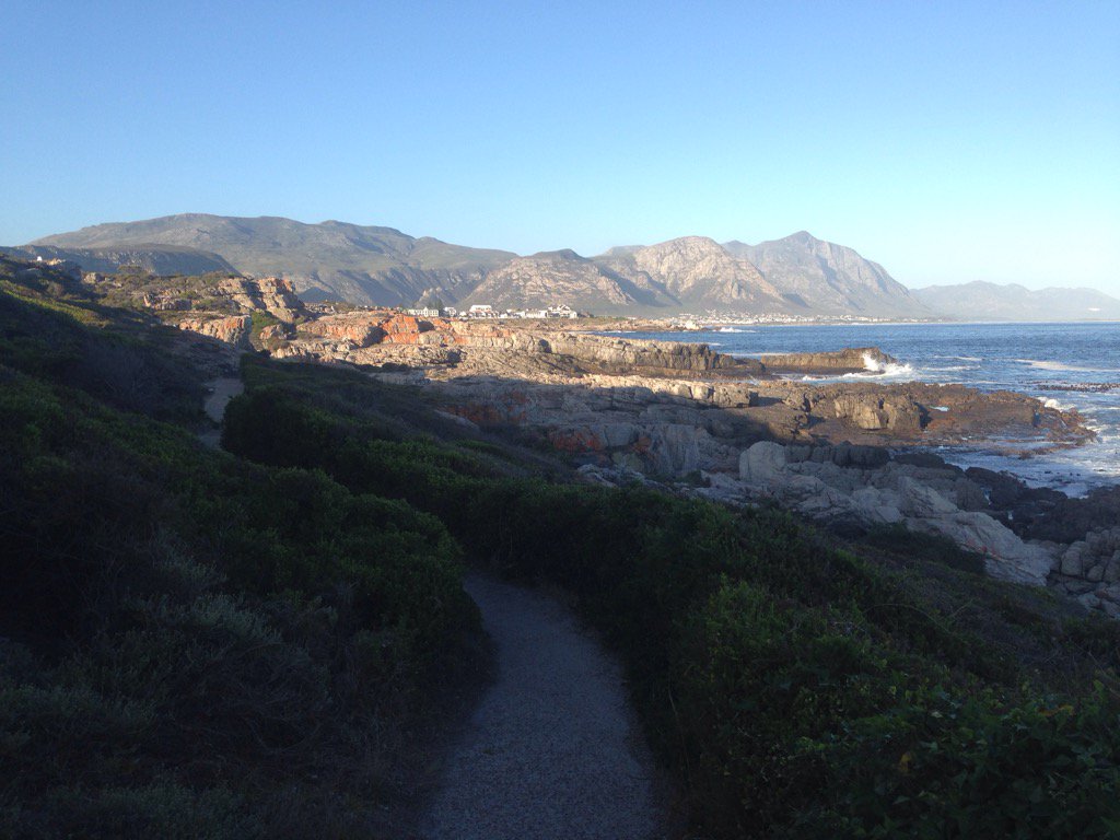 Harrison_Chinn's tweet photo. Morning walks in #hermanus #southafrica #ocean https://t.co/PrWhkq29j7