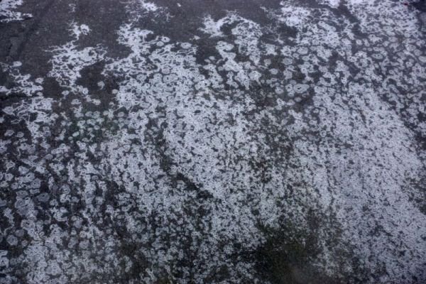 sarahmc_photo's tweet photo. looks a bit like a view of "Earth from space" but is actually just a view of "Driveway from kitchen window" @ianblack #Ottawaice https://t.co/LWXu79cycB