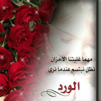 Bint Sultan (@redbint955) on Twitter photo 