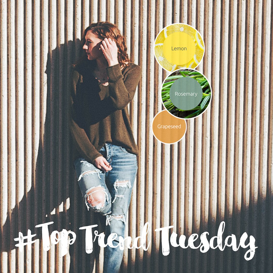 Latherology's tweet photo. #TopTrendTuesday Lemon, Rosemary, &amp; Grapeseed.
#makeyourmix #switch2latherology https://t.co/ziqL4ORroM