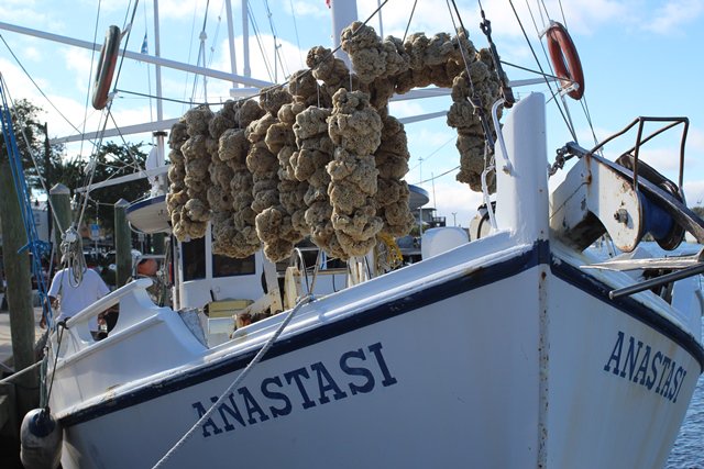 SeaGrant's tweet photo. Florida business owner links success to research by @FloridaSeaGrant https://t.co/sI9QOfweYi #ResearchtoApplication https://t.co/Ts8Nim8RcZ