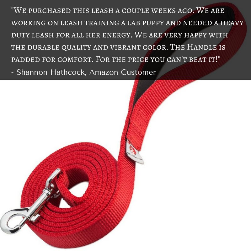 TheFishSleepEat's tweet photo. You ought to check this #Dog #Leash on #Amazon ➡ https://t.co/1cl4ne6DqC ⬅ https://t.co/wgEWJr68J8 @amazon https://t.co/AcyZuRlKM0 #giveaway