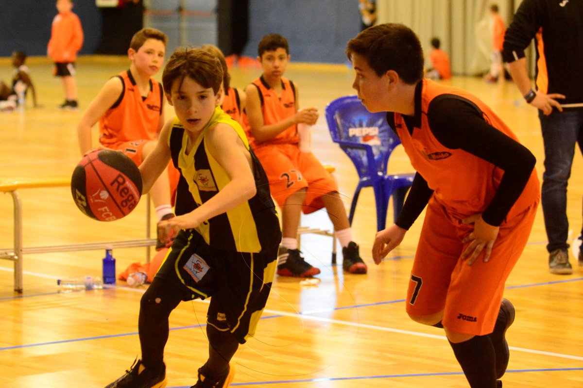 SEGRE Esport Base tweet media