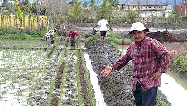 Balai Besar Penelitian Tanaman Padi tweet media