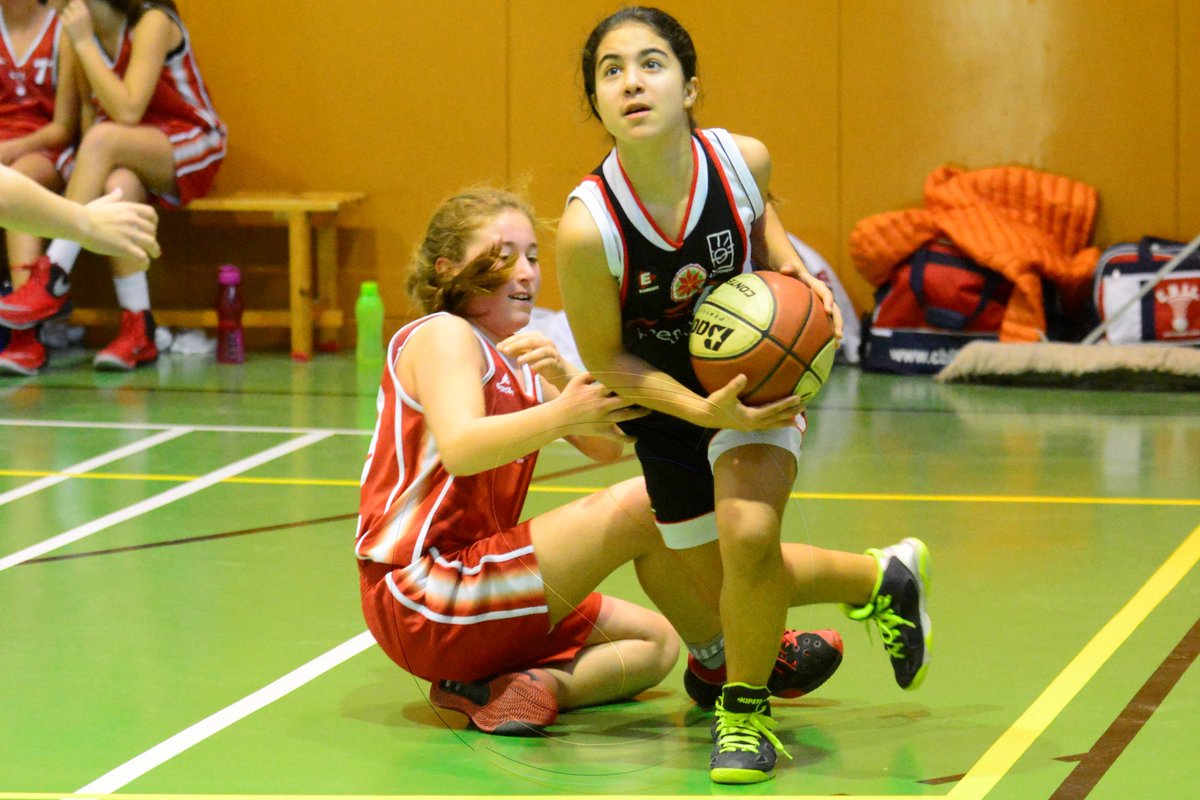 SEGRE Esport Base tweet media