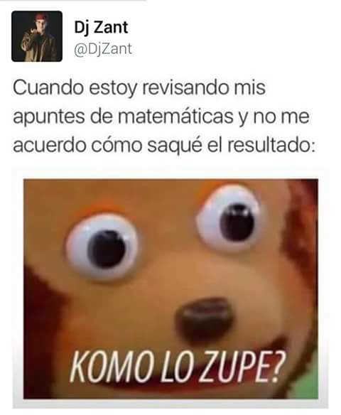 Maria Yadipsa 🐾 (@maria_yadipsa) on Twitter photo 