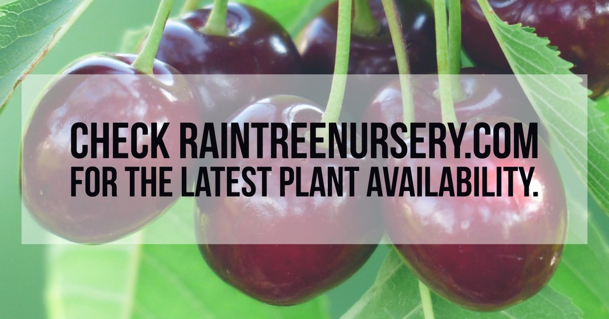 Raintree Nursery (@raintreenursery) on Twitter photo 