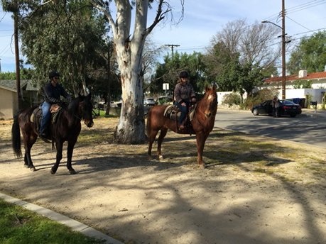 Arriving to vote in Shadow Hills the Old West way #election2017