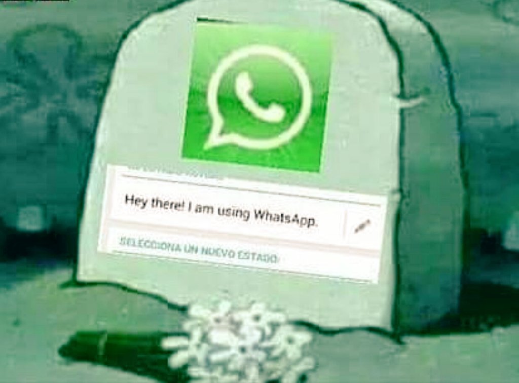 rk6521's tweet photo. RiP #WhatsApp StatuS https://t.co/1ZKRMVTFl7