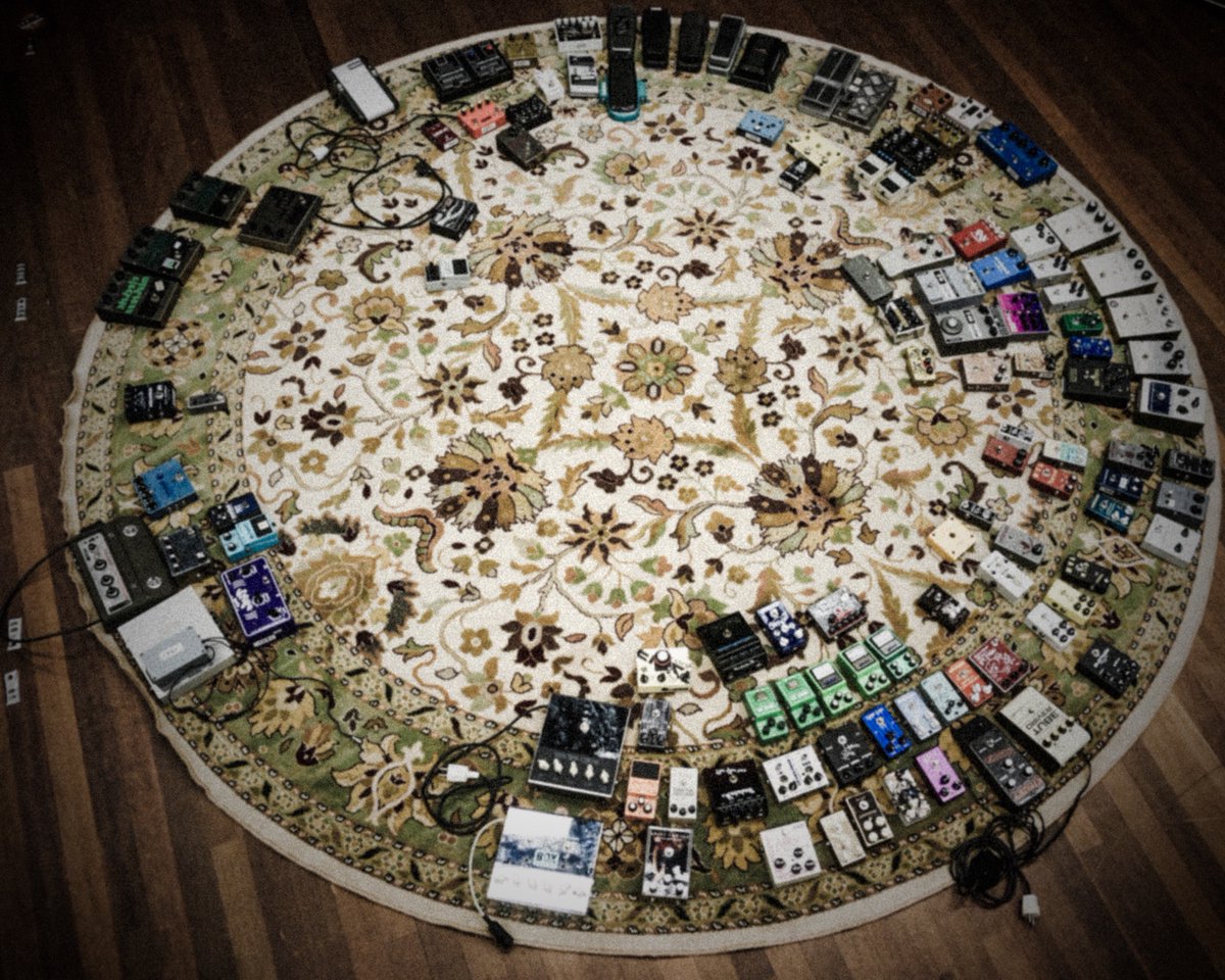 Wisseloord tweet media