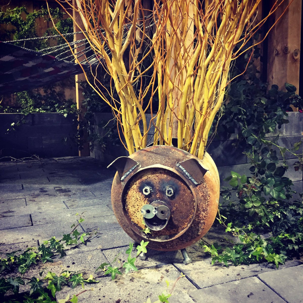 <a href="/NancyGreen01/">Nancy Green</a> pulling out all stops <a href="/canadablooms/">Canada Blooms</a> this year with the #Pig Art!