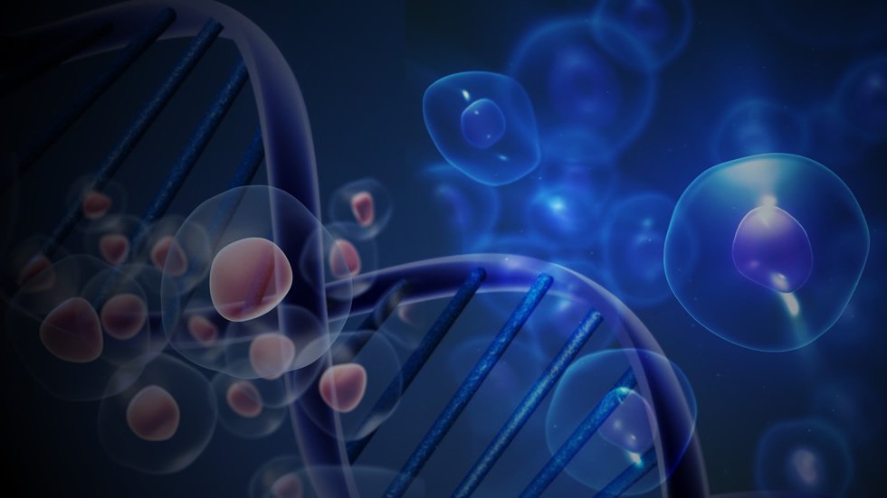 Participa este 30 y 31 de marzo en el Simposio “Células Madre Pluripotentes Inducidas y Edición Génica. Más info en: goo.gl/cAa5gK