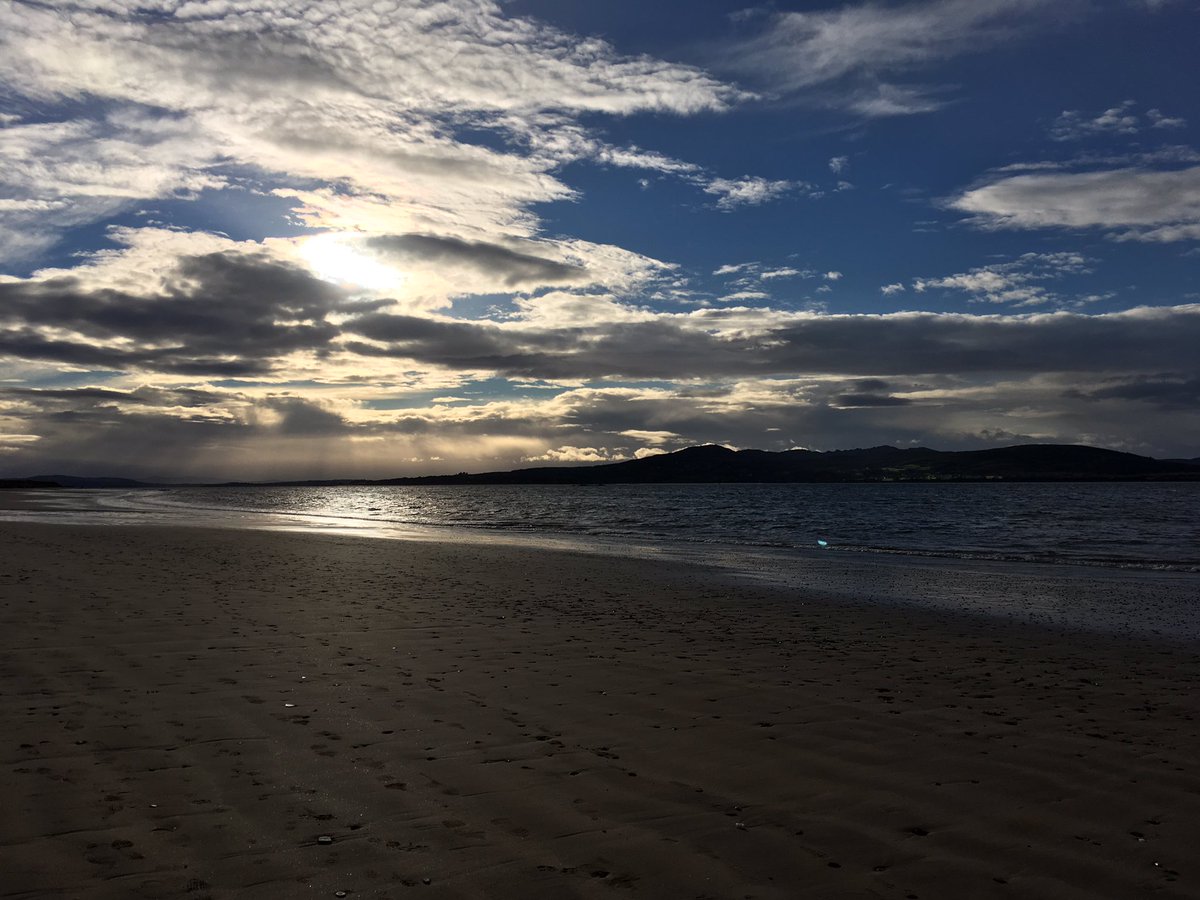tinydino3's tweet photo. Lovely day at the beach on Sunday 🏖 https://t.co/O94CdPWKcN