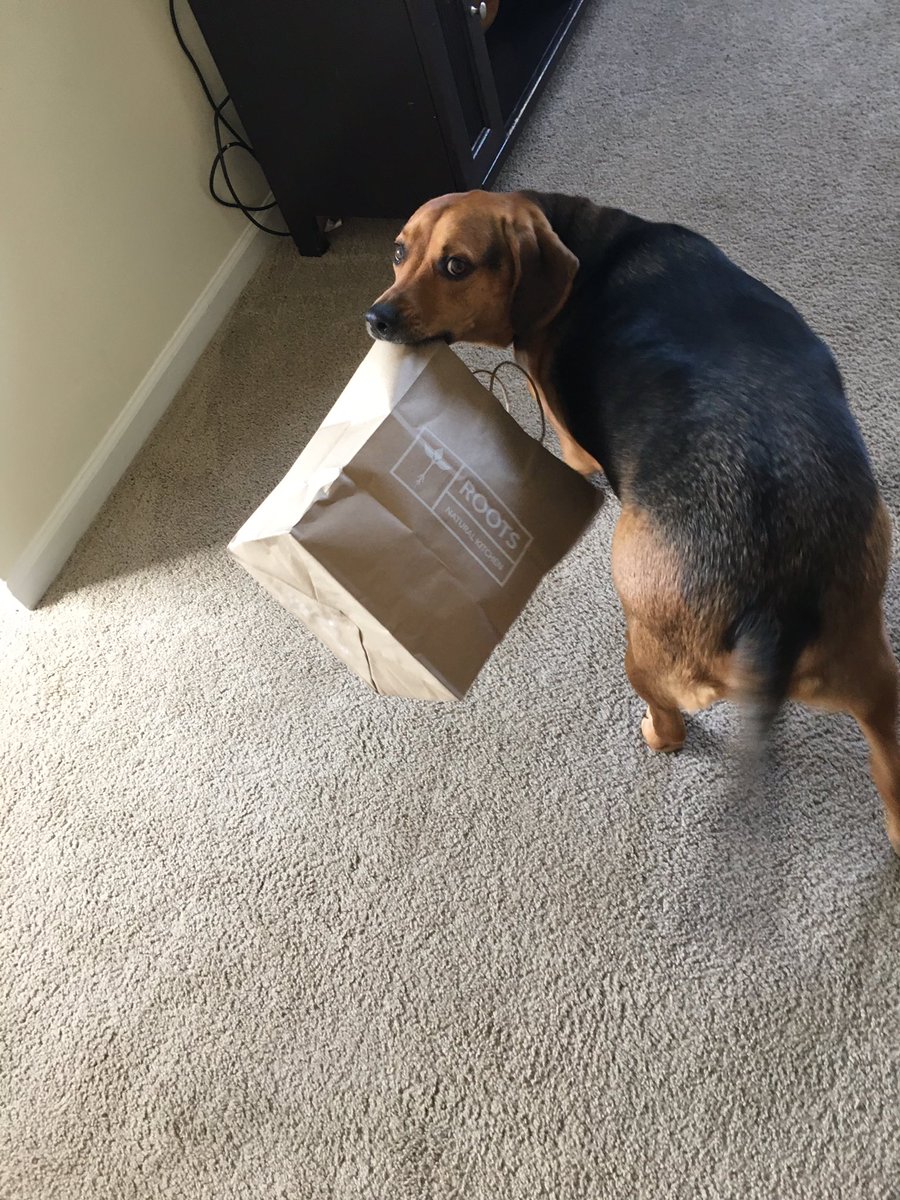 apotatoweyes's tweet image. @UDroots Ivan loves roots too!!!