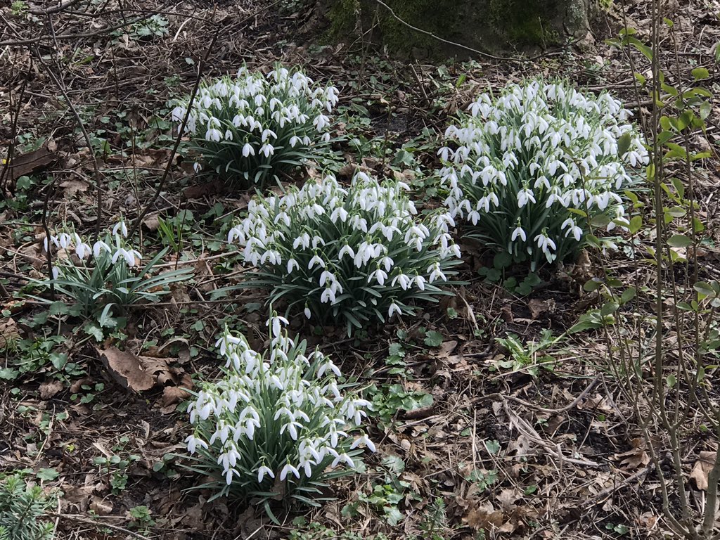 Weight4Life's tweet image. Voorjaar komt er weer aan, heerlijk!