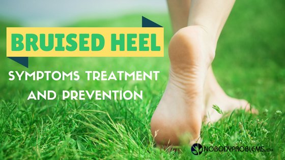 nobodyproblems's tweet photo. Bruised Heel: Symptoms, Treatment and Prevention
https://t.co/0SBqBQv0jQ
#Bruised_Heel #pain #healthcare https://t.co/e3mRgHKA2q