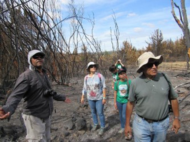 ZonaDeportivaCa's tweet photo. Seremi del Medio Ambiente evalúa degradación al patrimonio natural en #CerroName por incendios 
https://t.co/sySBam5CT7 https://t.co/oCCys51Zls