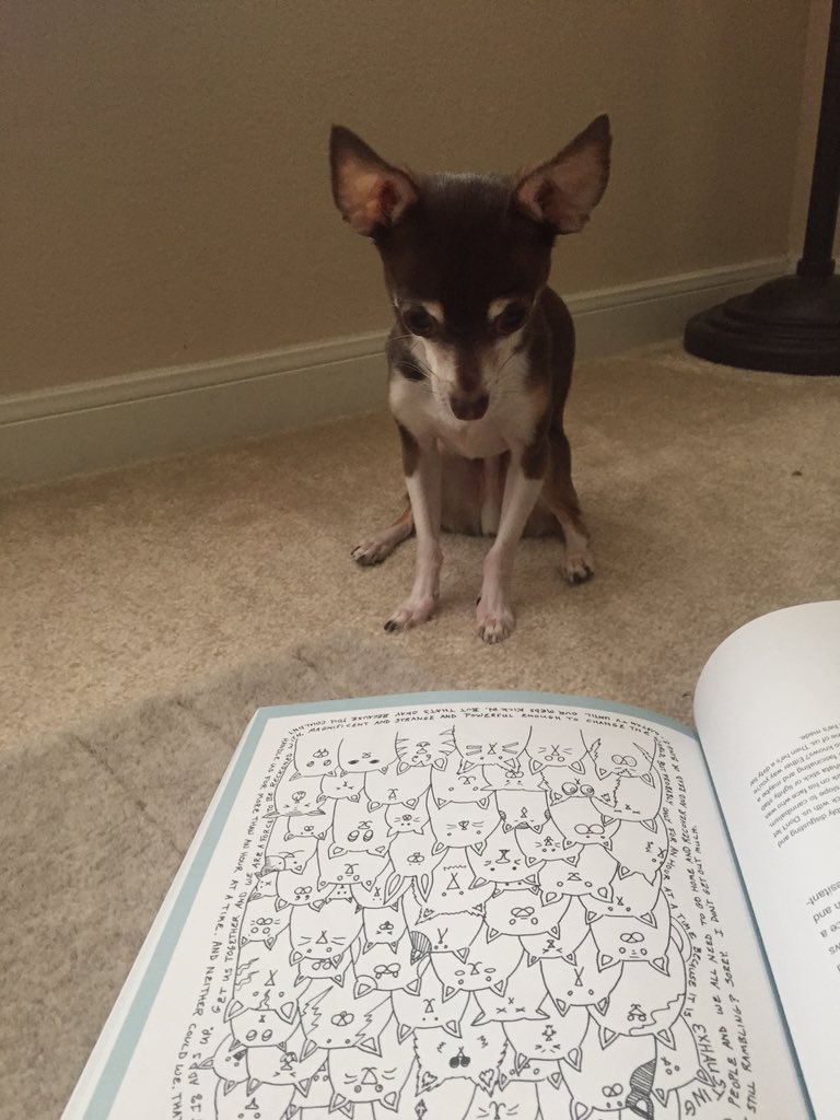 nyy046's tweet photo. @TheBloggess #YouAreHere This book is awesome! 👍🏼Someone wants to know, 'where my dogs at?' 🐶 https://t.co/coA9X5V5gC