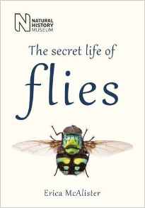 flygirlNHM's tweet photo. And on Saturday I am once more in the @NHM_London talking Flies ;) Come along in the afternoon for free!
https://t.co/pvYYpTxOfm https://t.co/w35EhxUNEU