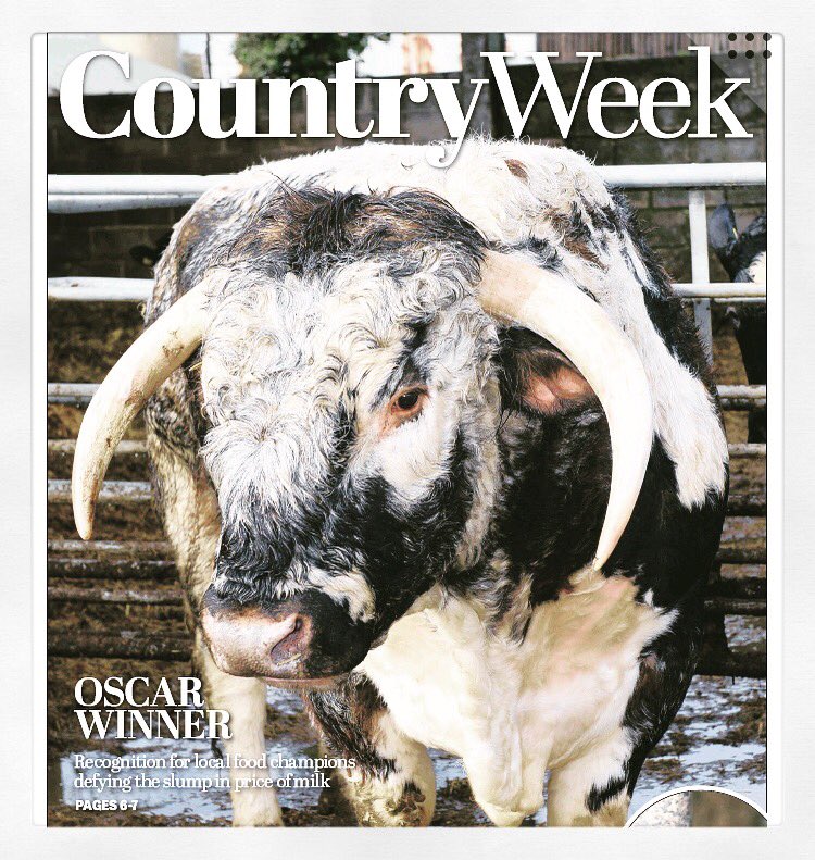 Lewis the legend pressreader.com/uk/yorkshire-p… <a href="/SYorksBiz/">South Yorks Business</a> <a href="/Yorkshire_Life/">Yorkshire Life</a> <a href="/BBCSheffield/">BBC Sheffield</a>