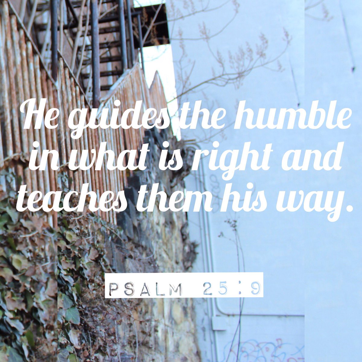 worshipXposed's tweet photo. Psalm 25:9 #WorshipXposedVOTW #VOTD https://t.co/3E6hsvV8E7