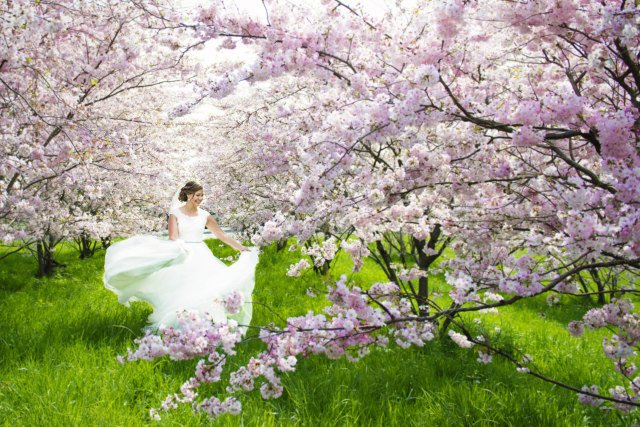 10 X Zo ziet award winning bruidsfotografie eruit <3 ow.ly/KnwL309xLp0