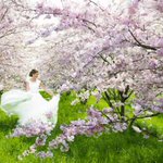 Photo by ThePerfectWedding.nl (@bruiloft)