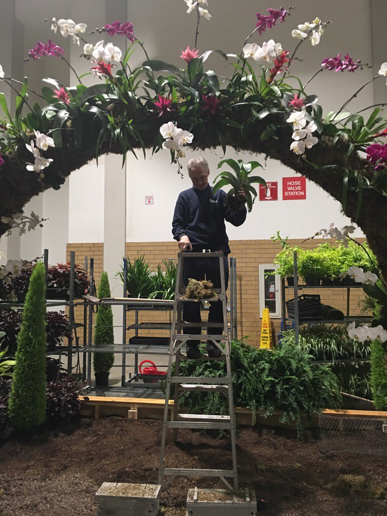 Stanley finishing up last touches to <a href="/cityoftoronto/">City of Toronto 🇨🇦</a> flower arch 2016 People's choice winner #canadablooms