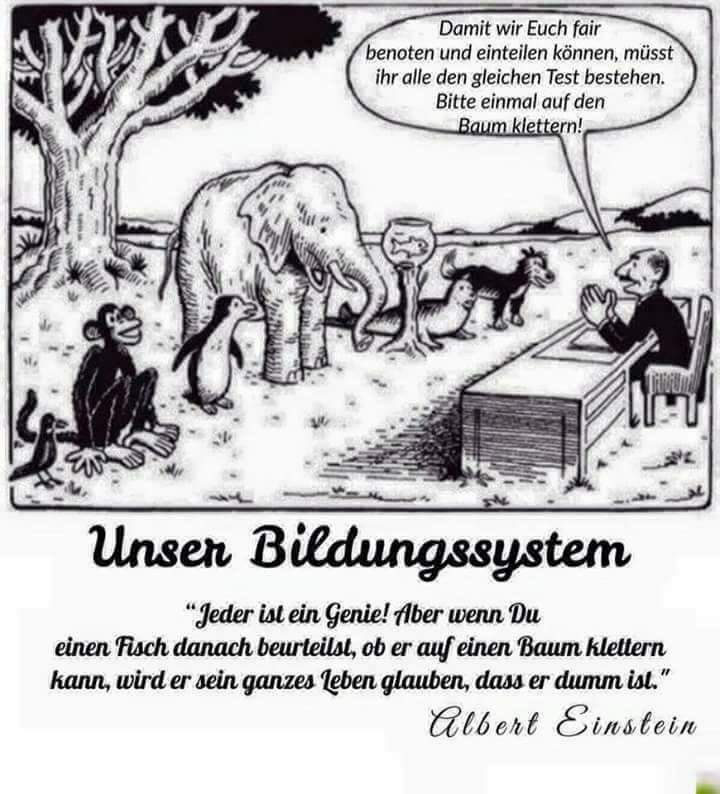 Download Jeder ist ein genie For iPhone Free Jeder Ist Ein Genie