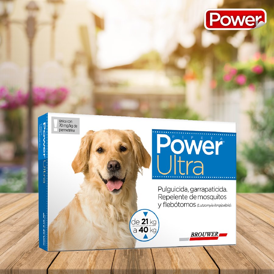 MascotasPower's tweet photo. #PowerUltra es ultra protección contra pulgas, garrapatas y mosquitos. 
Pedila a tu veterinario de confianza! 
#MascotasPower #perros https://t.co/ybQlTsrdzx