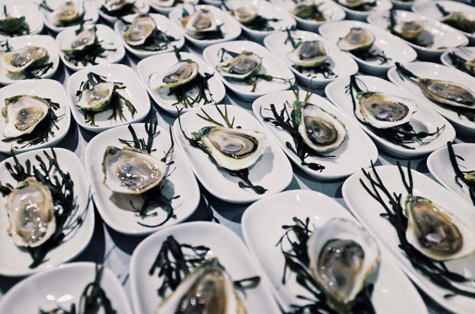 flordesalfood's tweet photo. Plunge into a sea of oysters tonight with our winter special: buy 12 + get 6 free! Booking in advance recommended: https://t.co/rb6EdtmlE0 https://t.co/20D17uotk2