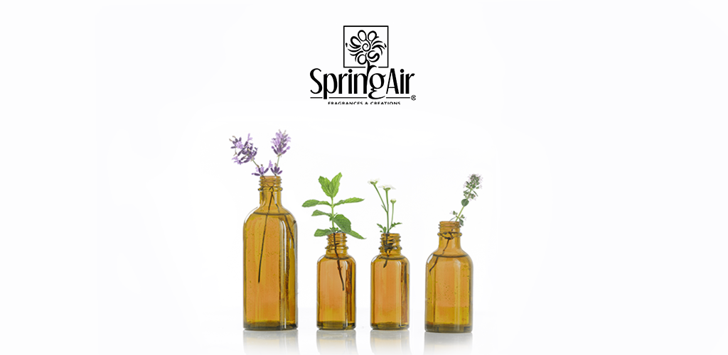 SpringairPT's tweet image. Deixe-nos apurar os seus sentidos! springair.com.pt/logoolfativo/
#springair #springairportugal #marketingolfativo #scentmarketing