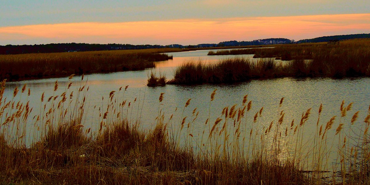 DucksUnlimited's tweet image. Why the Mission Matters: 
Supporting wetlands and waterfowl #conservation makes the world a better place #80YearsOfConservation