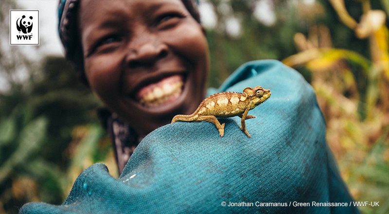WWF's tweet photo. This #InternationalWomensDay we want to thank all the women that make this planet a better place. #BeBoldForChange https://t.co/4r0X3Fq3Pq