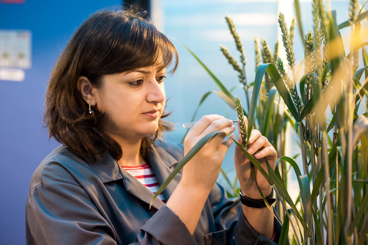 Rothamsted's tweet photo. #beboldforchange - @Rothamsted support flexible #workingpatterns & #familyfriendly #employment https://t.co/yCWdu0svPl https://t.co/7M8nO3D6MC