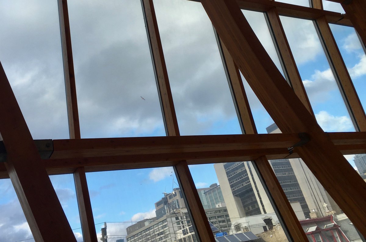 neil_dunning's tweet photo. Looking out the window into the sky and seeing an amazing juxtaposition of worlds @agotoronto #soaringhawk https://t.co/ehopkYlLRv