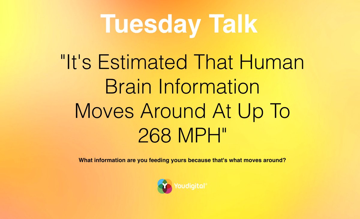 YouDigitalapp's tweet photo. #TuesdayTalk https://t.co/rSQRsoIeYn