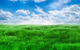 ctsmithiii's tweet image. The Future of IoT - DZone IoT 
hubs.ly/H06B8T_0 by @dzone
@Ambiq_Micro @Basho @Kepware @NIITTech @QorvoInc @Scality @Tibco