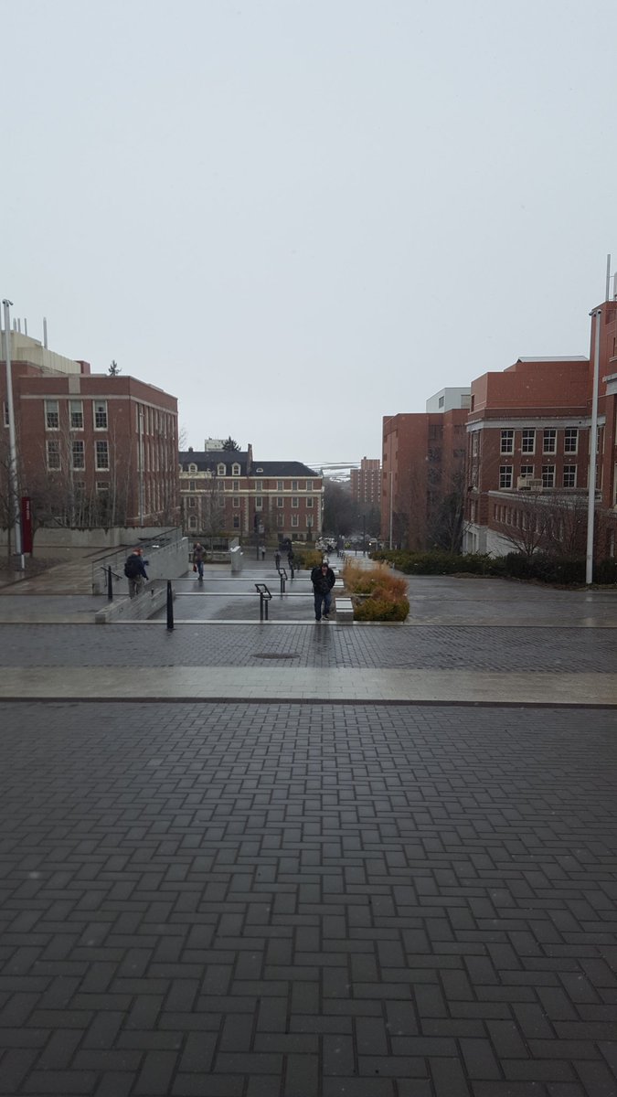 LaraMccombie's tweet photo. Getting my exercise today meeting my @KendallHuntHE authors! @WSUPullman https://t.co/oYqWUee6Se
