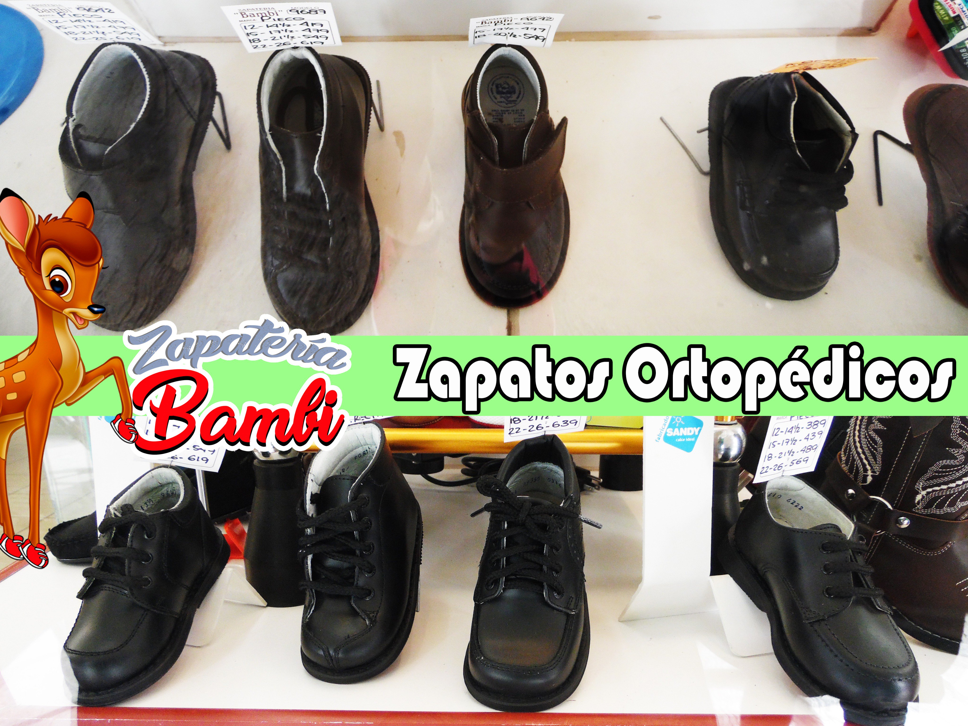 Zapateria Bambi ZapateriaBambi X