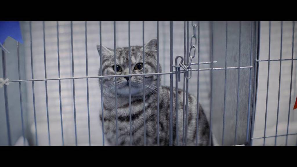 Brendan Buckingham tweet media