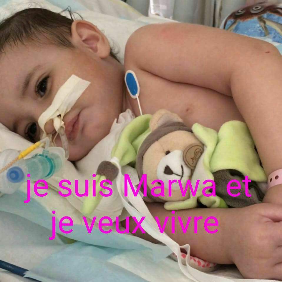 SauvonsMarwa's tweet photo. ❤❤❤ Des douas pour Marwa, que nos prières soient entendues 🙏 ❤❤❤ #prayforMarwa #jamaissansmarwa @Save_Marwa https://t.co/MCnCiiWMWB