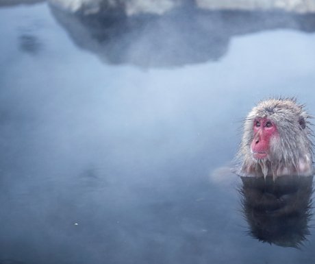 luxurytravel's tweet photo. NEW POST! Top 8 hot springs in #Japan https://t.co/lG9XcfU90R #travel #luxurytravel https://t.co/EbWpGECXgV