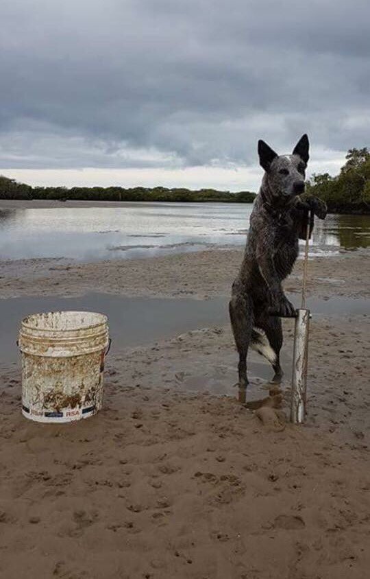 EsfSports's tweet photo. Hurry up weekend #fishingAustralia #fishing #fishingwithmates https://t.co/c8Y5eCcLxt